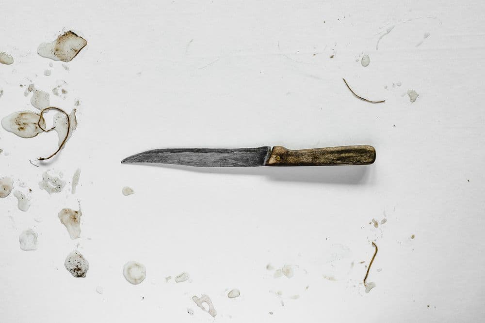 Rustic paring knife with wood handle product photo
